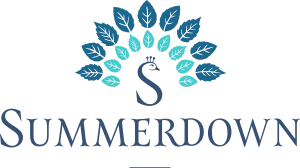 Summerdown logo